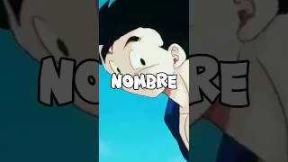 Datos sobre el NOMBRE de GOHAN [upl. by Docila279]