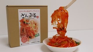 Food Sample Making Kit Spaghetti Napolitana [upl. by Jemmy]