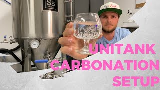 Unitank Carbonation Setup  How to Carbonate [upl. by Mcdowell]