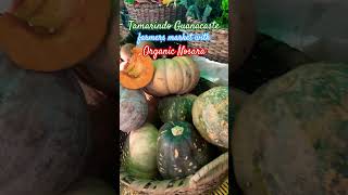 Tamarindo Guanacaste farmers market with Organic Nosara puravida travel organicfood c [upl. by Anayit]