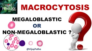 MACROCYTOSIS Causes Mechanism amp Approach [upl. by Adnohsad]