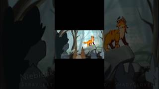 Fire Star editOgnista Gwiazda edit NiebieskieSerce wojownicy edit warriorcats wojo warriors [upl. by Namurt]