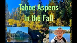 Aspen Fall Foliage The Best of Lake Tahoe [upl. by Lleret]