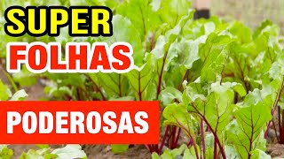 Benefícios das Folhas de Beterraba  As Super Poderosas para Emagrecer e Saúde Como Usar e Dicas [upl. by Airamasor]