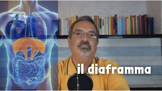 3 RILASSAMENTO e RESPIRAZIONE  il lavoro del DIAFRAMMA [upl. by Gayleen]