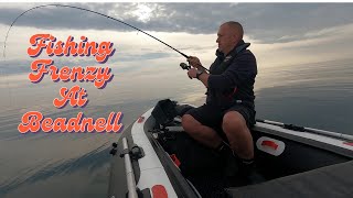 SIB Fishing UK EPIC Fishing Frenzy at Beadnell Lures amp bait catching COD [upl. by Akram]