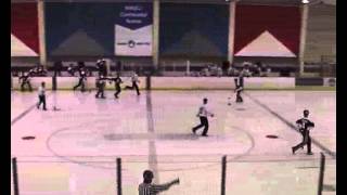 2006 IFBA World Broomball Championships Finals [upl. by Stacia]