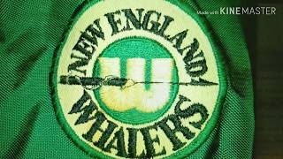 WHA Hockey Brawl • Minnesota Fighting Saints  New England Whalers • 41175 • [upl. by Joelie]