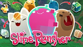 TODOOOOOS LOS NUEVOS SLIMES GORDOS DE SLIME RANCHER JUNTOS POR FIN [upl. by Fihsak]