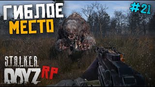 ГИБЛОЕ МЕСТО DAYZ STALKER RP 21 серия [upl. by Enohs552]