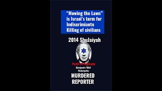 IDF HabitIndiscriminate bombing： Shujaiya attack in 2014 left at least 72 dead journalist killed [upl. by Chak519]