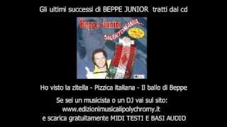 Ho visto la zitella Beppe Junior [upl. by Neelyhtak]