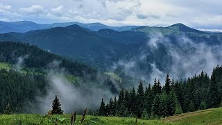 The beauty of the Carpathian Mountains  Air video in 4K Карпаты с высоты птичьего полета [upl. by Robinia]