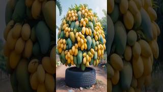 Harvest More Mangoes with This Planting Method  S Fruit and Nature  shortvideo shortsfeed [upl. by Ladnek]