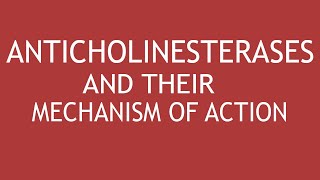 Anticholinesterases and their mechanism of action by DrShikha Parmar [upl. by O'Malley]