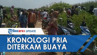 Kronologi Pria Diterkam Buaya saat Cari Rumput Jasad Korban dalam Kondisi Tak Utuh saat Ditemukan [upl. by Suhpoelc728]