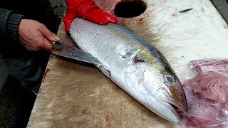 Master Fish Cutting  Amberjack  Skills Revealed Insane Speed amp Precision [upl. by Akinnej649]