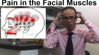 Pain in the Facial amp Head Region Facial amp Occluso Muscle Jaw Movement Jaw Joint by Dr Mike Mew [upl. by Kermy]