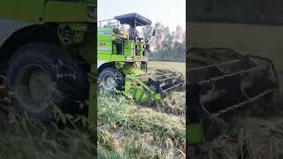 viralvideo shortvideo agriculture forming [upl. by Mortie]