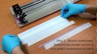 Rapid Test Immunoassay Membrane tutorial [upl. by Ramsden425]