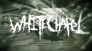 Whitechapel  Prostatic Fluid Asphyxiation LYRIC VIDEO [upl. by Suriaj]