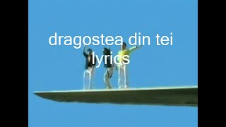 dragostea din tei lyrics [upl. by Hagai]