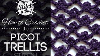 How to Crochet the Picot Trellis Stitch [upl. by Ymia]