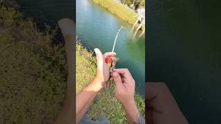 Tiny Fishing Combo [upl. by Anerahs]