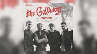 You Cant Be True version 1 by The Golliwogs from Fight Fire The Complete Recordings 19641967 [upl. by Chadburn]