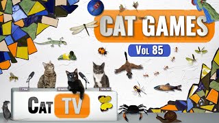 CAT Games  Ultimate Cat TV Compilation Vol 85  4 HOURS 🐝🐞🦋🦎🦜🐜🐭🧵 [upl. by Roede]