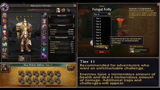 Tier 11 Delve  Solo  Retribution Paladin  ilvl 603  High Explorer achievement technically [upl. by Ennylyak]