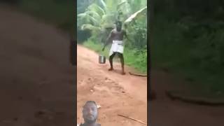 Paambo comedy video funny snake video [upl. by Marola]