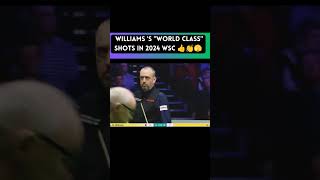 Williams quotworld class Shotsquot in 20224 WSC 2024 viralshort snooker [upl. by Clevie]