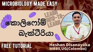 කොලිෆෝම් බැක්ටීරියා Coliform Bacteria  A level microbiology sinhala [upl. by Callahan]