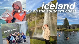 ICELAND VLOG 🇮🇸 reykjavik the secret lagoon puffins glacier hike the golden circle cat cafes [upl. by Ellehcim86]