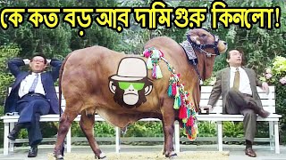 কাইশ্যার ঈদের গরু নিয়ে চাপাবাজি  Kaissa Funny Eid Goru  Bangla Comedy Dubbing [upl. by Yticilef166]