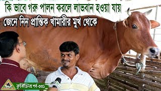 Krishi Chitra331কি ভাবে গরু পালন করলে লাভবান হওয়া যায় শুনে নিন প্রান্তিক কৃষকের মুখ থেকে। [upl. by Nichy704]