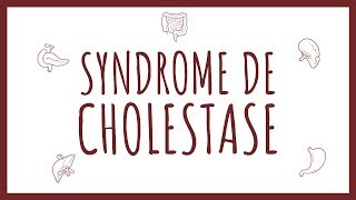 Sémiologie Hépatique  Syndrome de Cholestase [upl. by Prochora]