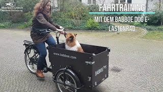 Babboe Dog E Lastenrad  Fahrtraining mit Hund [upl. by Penney702]