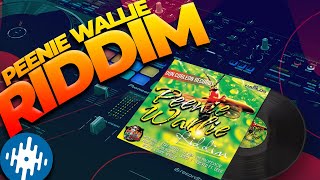 PEENIE WALLIE RIDDIM MIX 2012 CyanideSoundSystem Dancehall Reggae PeenieWallie DonCorleon [upl. by Myna885]