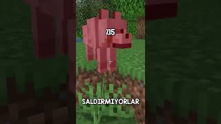 Minecraft AMA Yalan Söylüyorum 3 🤥 [upl. by Ynnavoig809]