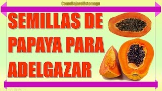 Adelgaza Muchísimo con Semilla de Papaya [upl. by Olatha]