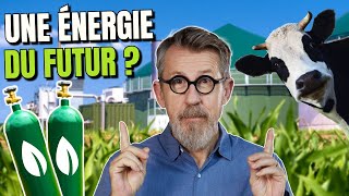 Le biogaz une solution pour remplacer les énergies fossiles [upl. by Selle]