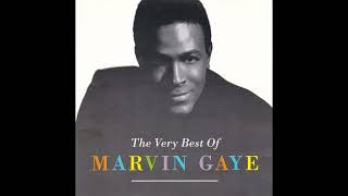 Marvin Gaye  Best of Live Compilation [upl. by Rosalind661]