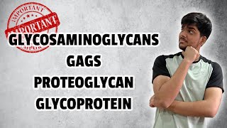 Biochemistry  Heteropolysaccharides  Glycosaminoglycans GAGs Proteoglycan Glycoprotein [upl. by Carin846]