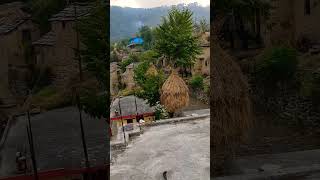 uttrakhand village vediopauri grhwal kumaon gardwal song garhwal music almoradi pahadinature [upl. by Neggem]