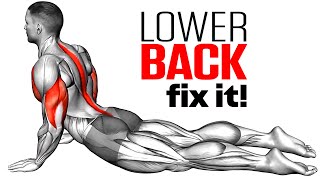 Exercises To Reduce Lower Back Pain [upl. by Dyun]