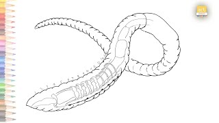 Earthworm dissection labeled  How to draw Earthworm Anatomy worksheet  Outline drawings art janag [upl. by Cormack30]