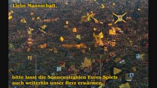 BVB Lied  So sehen Sieger aus [upl. by Dralliw857]