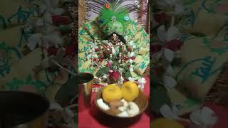 yogini ekadashi ke din aap sabhi ko Jay Shri Radhe Krishna [upl. by Niad]